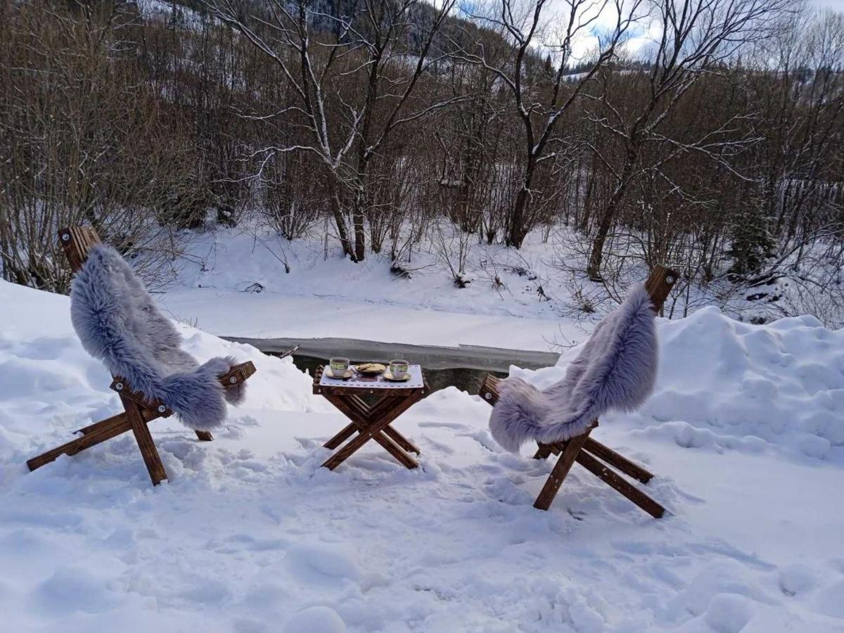 Riverside Slavske Dış mekan fotoğraf